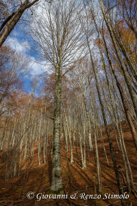 2016-11-20 12-23-49-75-HDR