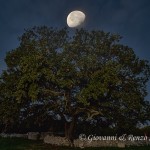 La luna sulla roverella di Jazzo del Demonio