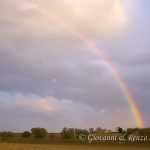 Arcobaleno